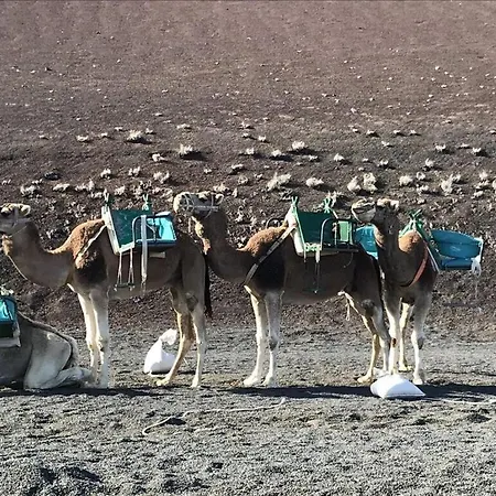 Mesmerising In * Playa Blanca (Lanzarote)