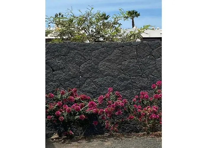 Appartement Mesmerising In *